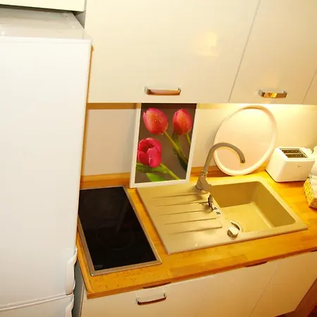 Tulip City Centre Apartman *