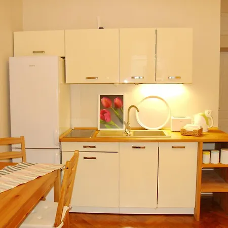Tulip City Centre Apartman *