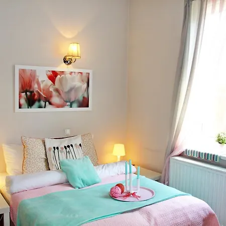 Apartman Tulip City Centre